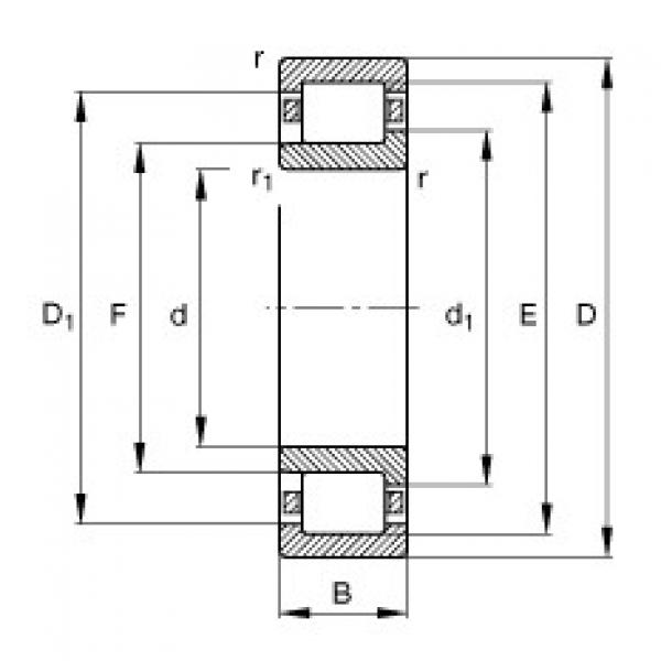 FAG Cylindrical roller bearings - NJ206-E-XL-TVP2 #1 image