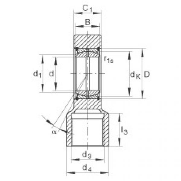 FAG Hydraulic rod ends - GIHRK100-DO #1 image