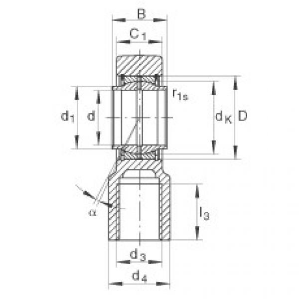 FAG Hydraulic rod ends - GIHNRK110-LO #1 image