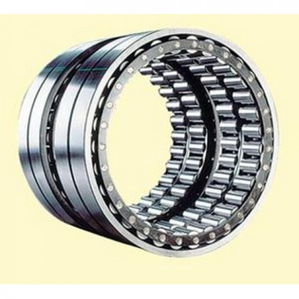 CPM2719 IB-666/491-35 Double Row Cylindrical Roller Bearing 50x69.58x40mm #1 image