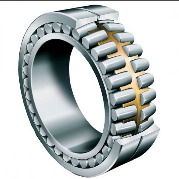 229070.RN 7602-0201-38 Full Complement Cylindrical Roller Bearing 25x46.52x22mm #4 image