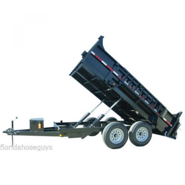 DUAL CYLINDER 6&#039; x 12&#039; Dump Trailer Kit with single acting SPX Pump #3 image