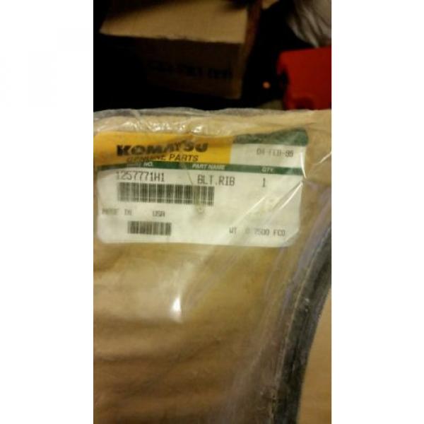 KOMATSU GENUINE PART#1257771H1  RIBBED BELT #2 image